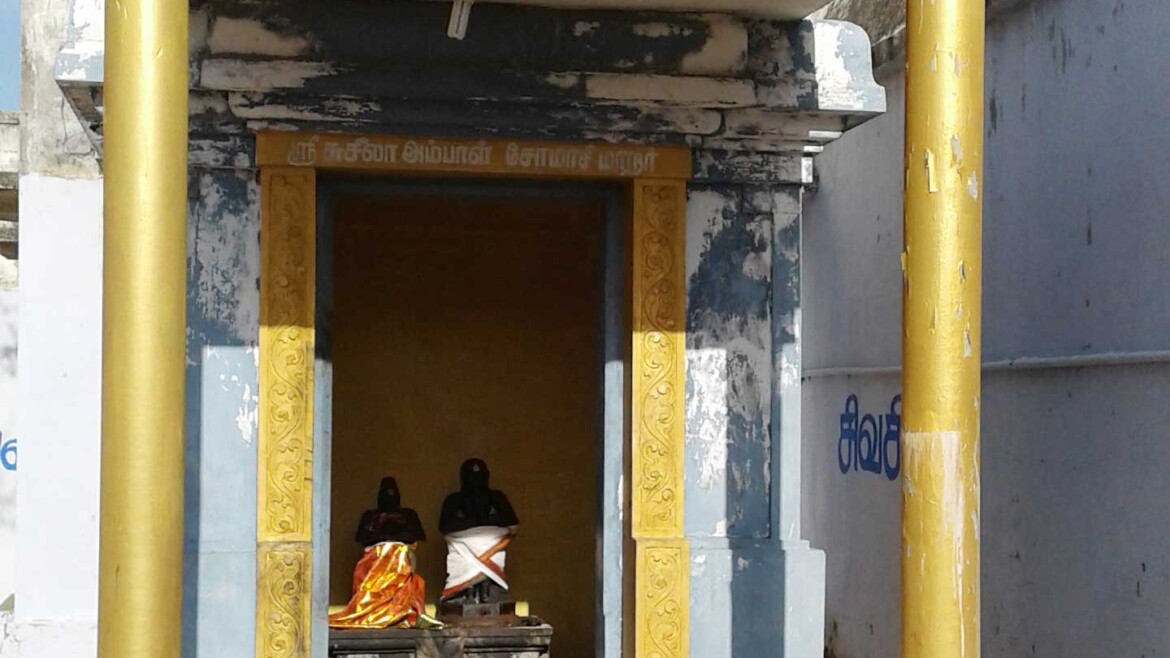 அருள்திரு சோமாசிமாற நாயனார் அவதாரத்தலம் 2012