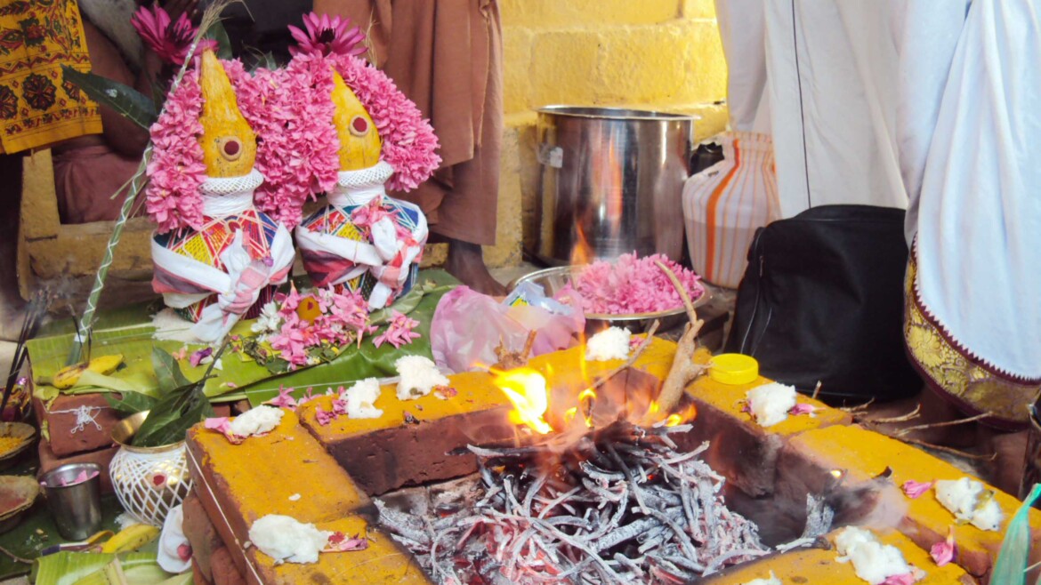 சம்பந்தர் மேடு 2014